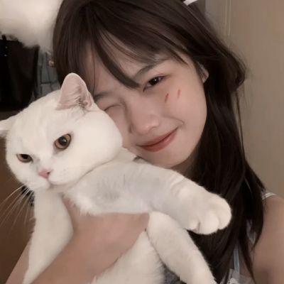 从零开始的征途游戏单机下载